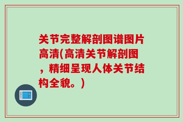 关节完整解剖图谱图片高清(高清关节解剖图，精细呈现人体关节结构全貌。)