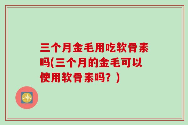 三个月金毛用吃软骨素吗(三个月的金毛可以使用软骨素吗？)