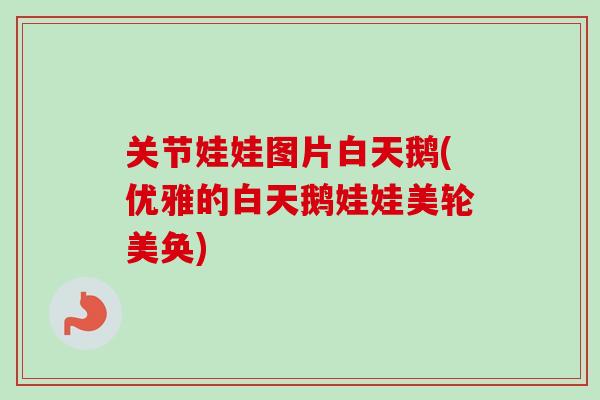 关节娃娃图片白天鹅(优雅的白天鹅娃娃美轮美奂)