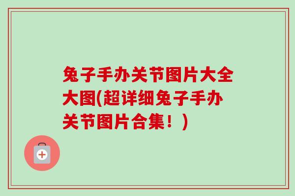 兔子手办关节图片大全大图(超详细兔子手办关节图片合集！)