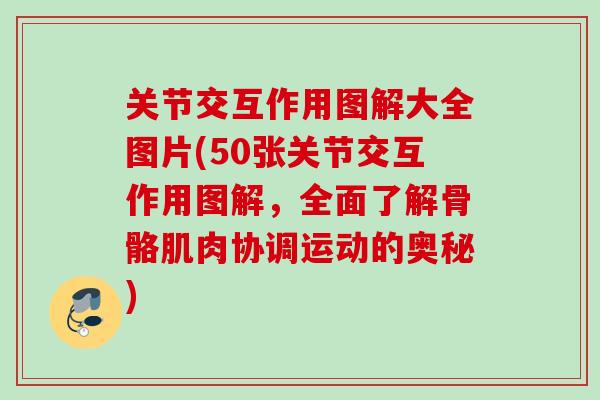 关节交互作用图解大全图片(50张关节交互作用图解，全面了解骨骼肌肉协调运动的奥秘)
