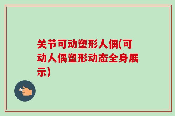 关节可动塑形人偶(可动人偶塑形动态全身展示)