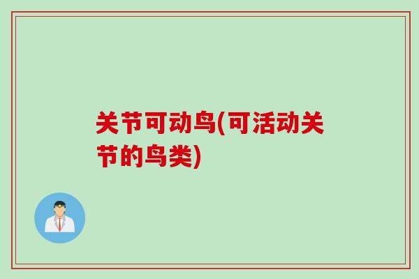 关节可动鸟(可活动关节的鸟类)