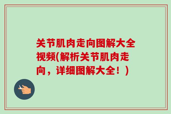 关节肌肉走向图解大全视频(解析关节肌肉走向，详细图解大全！)