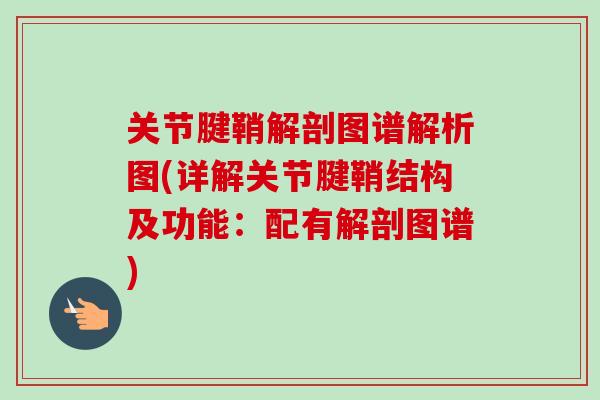 关节腱鞘解剖图谱解析图(详解关节腱鞘结构及功能：配有解剖图谱)