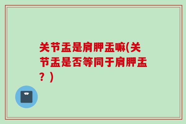 关节盂是肩胛盂嘛(关节盂是否等同于肩胛盂？)