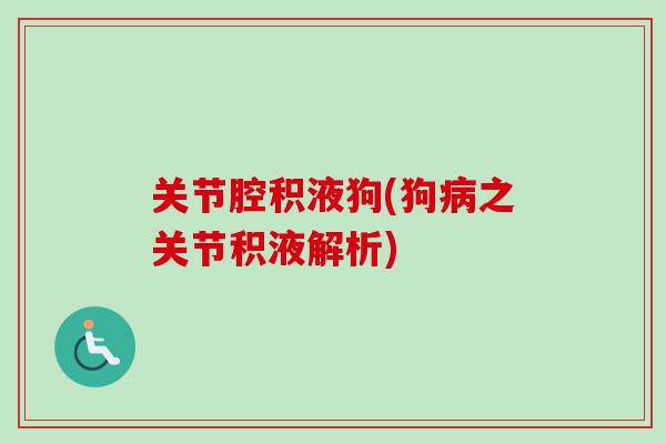 关节腔积液狗(狗病之关节积液解析)