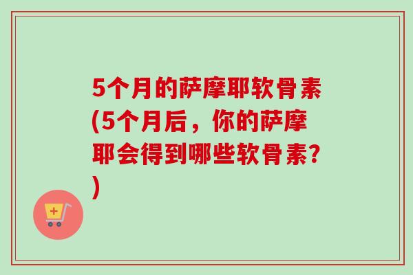 5个月的萨摩耶软骨素(5个月后，你的萨摩耶会得到哪些软骨素？)