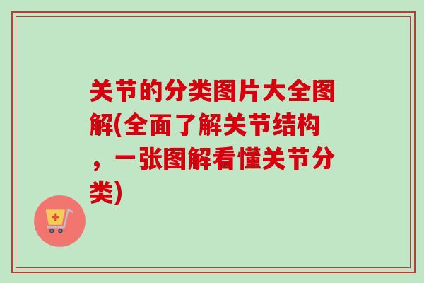 关节的分类图片大全图解(全面了解关节结构，一张图解看懂关节分类)