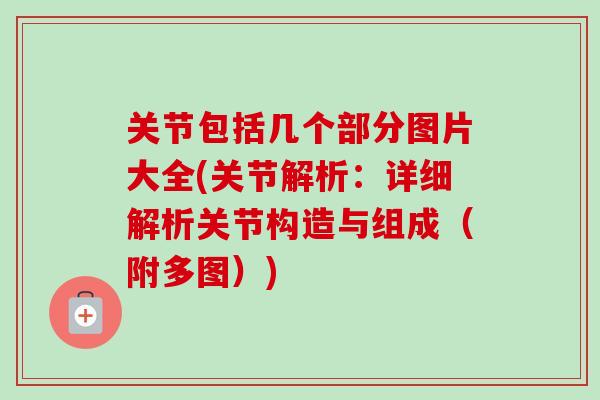 关节包括几个部分图片大全(关节解析：详细解析关节构造与组成（附多图）)