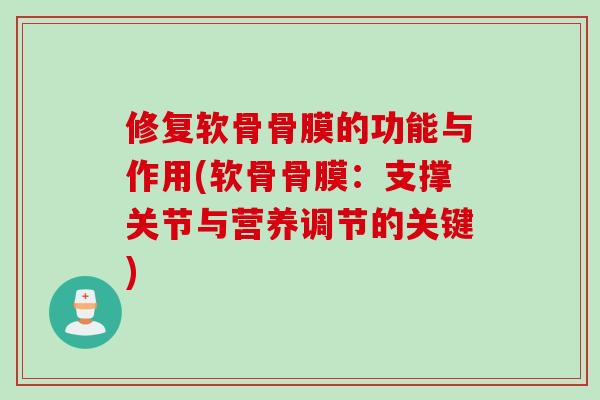 修复软骨骨膜的功能与作用(软骨骨膜：支撑关节与营养调节的关键)