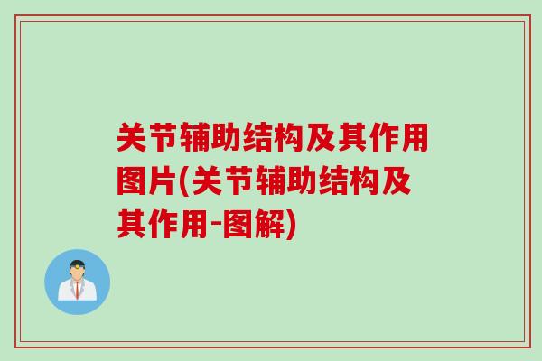 关节辅助结构及其作用图片(关节辅助结构及其作用-图解)