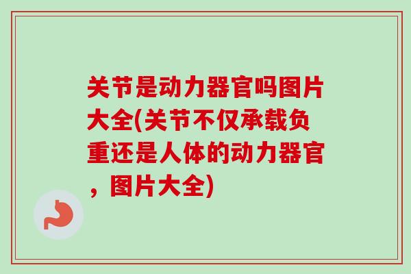 关节是动力器官吗图片大全(关节不仅承载负重还是人体的动力器官，图片大全)