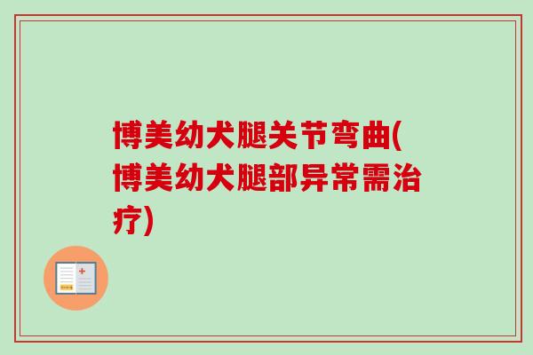 博美幼犬腿关节弯曲(博美幼犬腿部异常需治疗)
