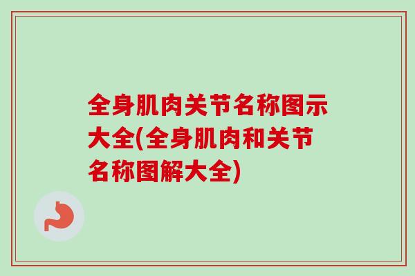 全身肌肉关节名称图示大全(全身肌肉和关节名称图解大全)