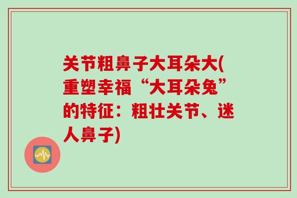关节粗鼻子大耳朵大(重塑幸福“大耳朵兔”的特征：粗壮关节、迷人鼻子)