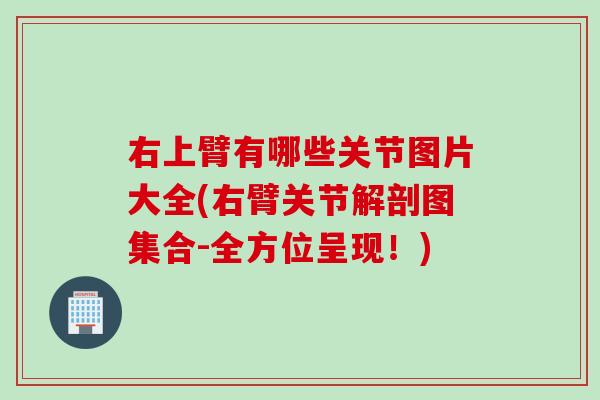 右上臂有哪些关节图片大全(右臂关节解剖图集合-全方位呈现！)