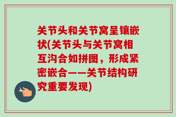 关节头和关节窝呈镶嵌状(关节头与关节窝相互沟合如拼图，形成紧密嵌合——关节结构研究重要发现)