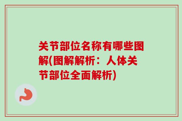 关节部位名称有哪些图解(图解解析：人体关节部位全面解析)