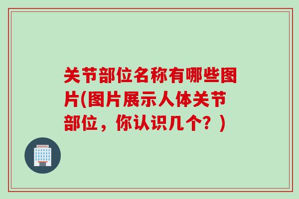 关节部位名称有哪些图片(图片展示人体关节部位，你认识几个？)