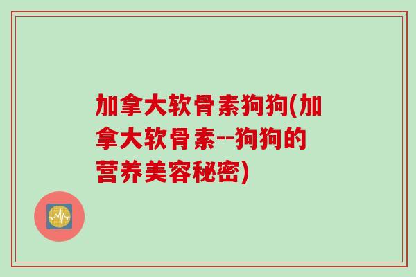 加拿大软骨素狗狗(加拿大软骨素--狗狗的营养美容秘密)