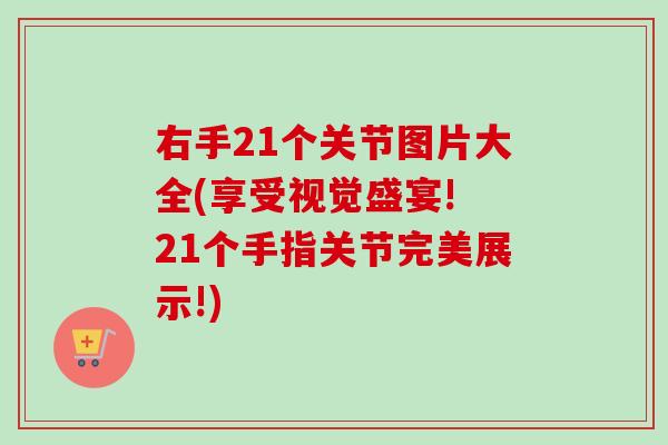 右手21个关节图片大全(享受视觉盛宴! 21个手指关节完美展示!)