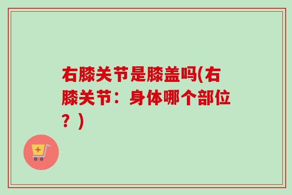 右膝关节是膝盖吗(右膝关节：身体哪个部位？)