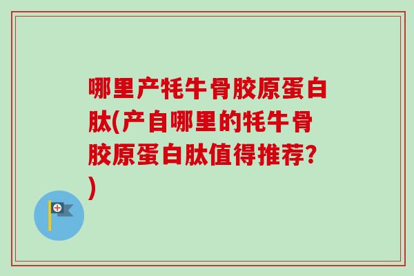 哪里产牦牛骨胶原蛋白肽(产自哪里的牦牛骨胶原蛋白肽值得推荐？)