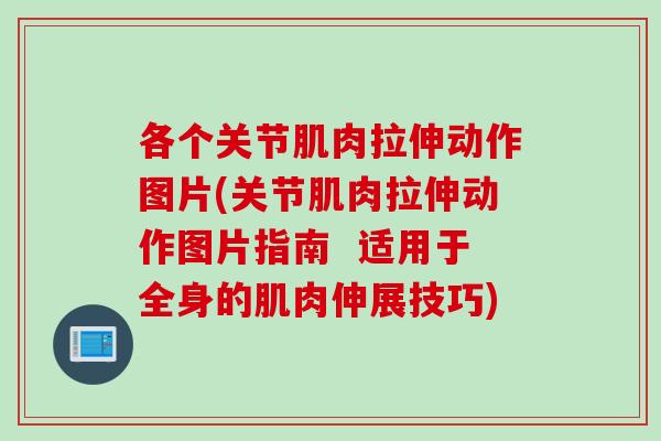 各个关节肌肉拉伸动作图片(关节肌肉拉伸动作图片指南  适用于全身的肌肉伸展技巧)