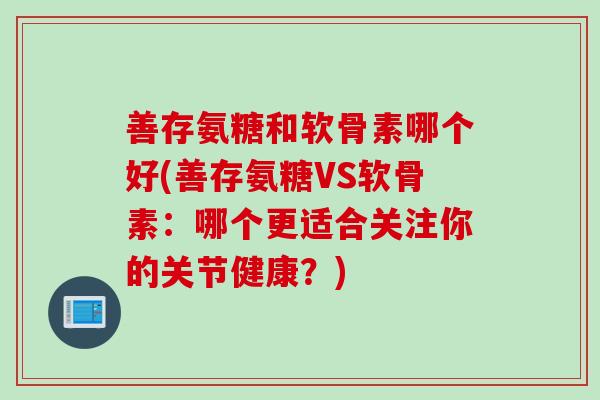 善存氨糖和软骨素哪个好(善存氨糖VS软骨素：哪个更适合关注你的关节健康？)