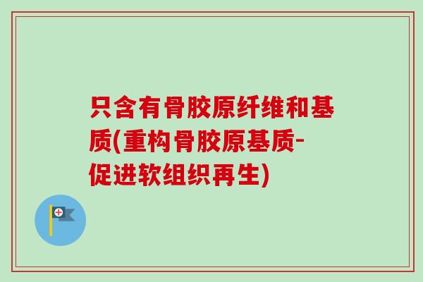 只含有骨胶原纤维和基质(重构骨胶原基质-促进软组织再生)