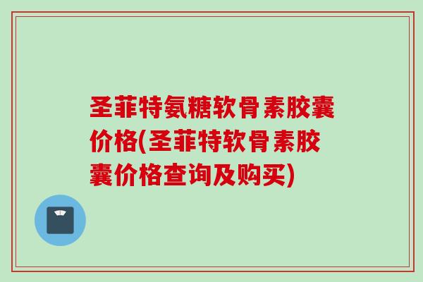 圣菲特氨糖软骨素胶囊价格(圣菲特软骨素胶囊价格查询及购买)