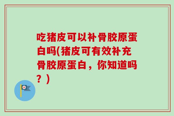 吃猪皮可以补骨胶原蛋白吗(猪皮可有效补充骨胶原蛋白，你知道吗？)