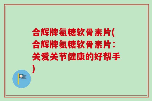 合辉牌氨糖软骨素片(合辉牌氨糖软骨素片：关爱关节健康的好帮手)
