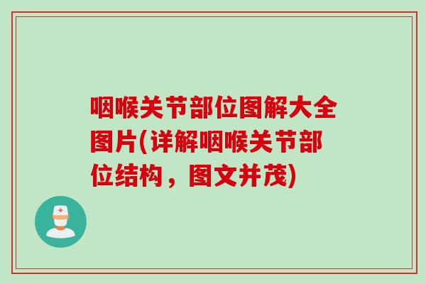 咽喉关节部位图解大全图片(详解咽喉关节部位结构，图文并茂)
