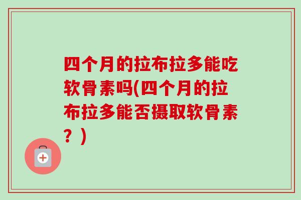 四个月的拉布拉多能吃软骨素吗(四个月的拉布拉多能否摄取软骨素？)