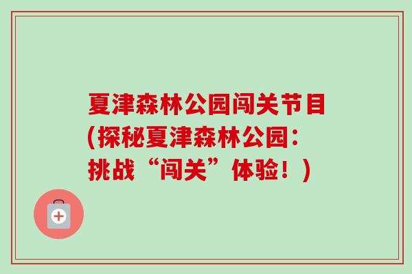 夏津森林公园闯关节目(探秘夏津森林公园：挑战“闯关”体验！)