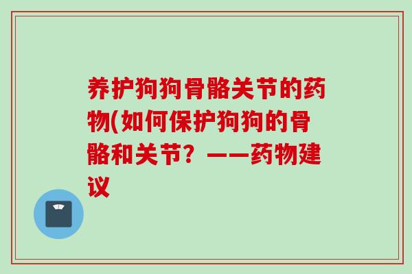 养护狗狗骨骼关节的药物(如何保护狗狗的骨骼和关节？——药物建议