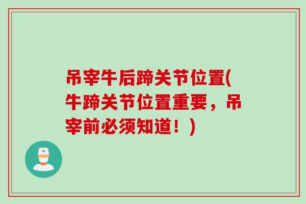 吊宰牛后蹄关节位置(牛蹄关节位置重要，吊宰前必须知道！)