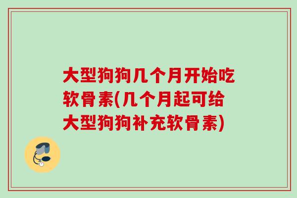大型狗狗几个月开始吃软骨素(几个月起可给大型狗狗补充软骨素)