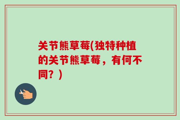 关节熊草莓(独特种植的关节熊草莓，有何不同？)