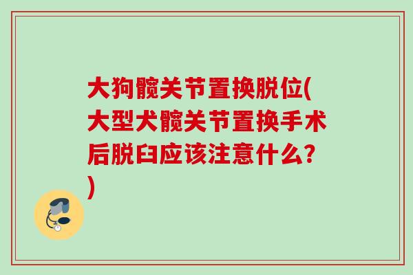大狗髋关节置换脱位(大型犬髋关节置换手术后脱臼应该注意什么？)