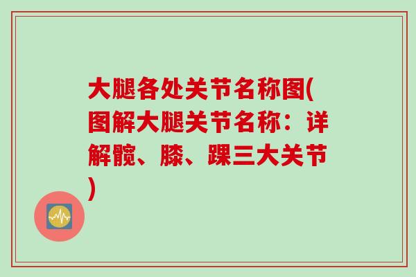大腿各处关节名称图(图解大腿关节名称：详解髋、膝、踝三大关节)