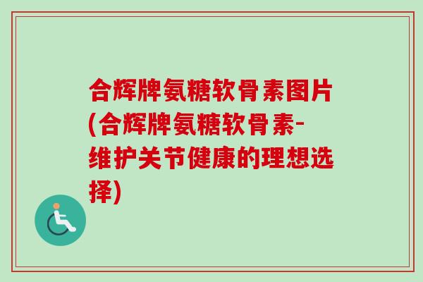 合辉牌氨糖软骨素图片(合辉牌氨糖软骨素-维护关节健康的理想选择)