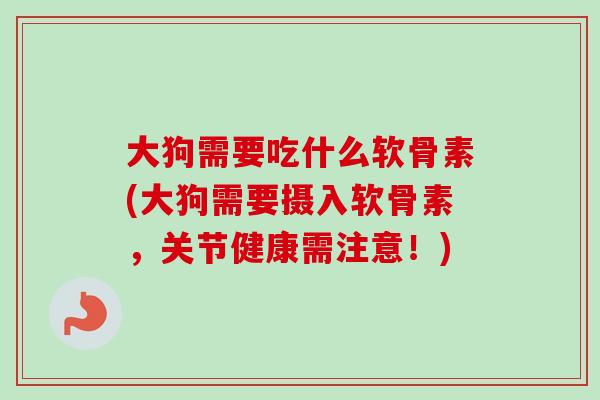 大狗需要吃什么软骨素(大狗需要摄入软骨素，关节健康需注意！)