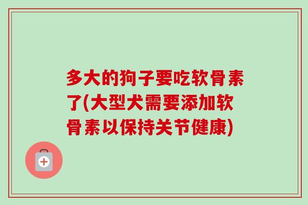 多大的狗子要吃软骨素了(大型犬需要添加软骨素以保持关节健康)