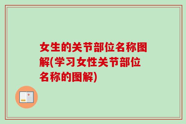 女生的关节部位名称图解(学习女性关节部位名称的图解)