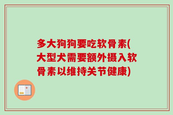 多大狗狗要吃软骨素(大型犬需要额外摄入软骨素以维持关节健康)