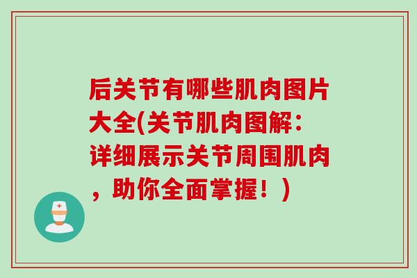 后关节有哪些肌肉图片大全(关节肌肉图解：详细展示关节周围肌肉，助你全面掌握！)