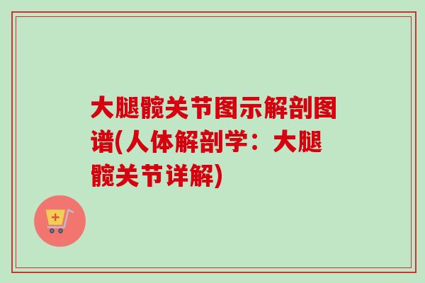 大腿髋关节图示解剖图谱(人体解剖学：大腿髋关节详解)